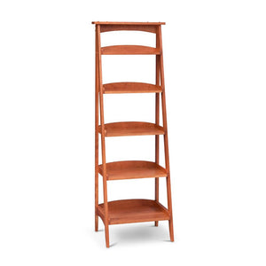 Ladder Bookshelf