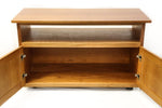 Rolling Media Cart